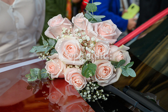 DSC_1908