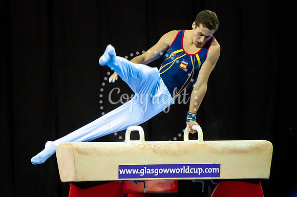 Pommel Horse 4