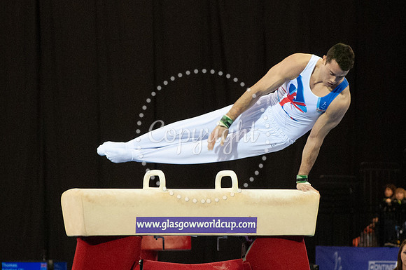 Pommel Horse 5