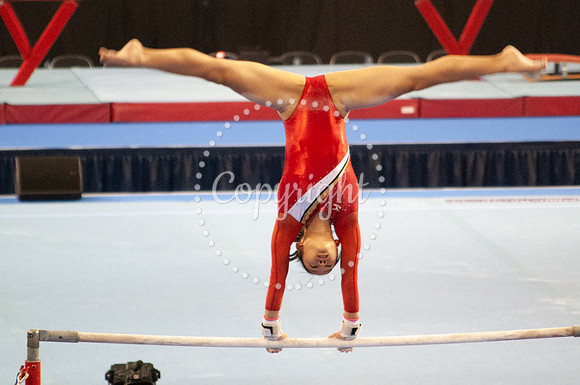 Bars in Red 1
