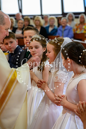 Z8F_6578