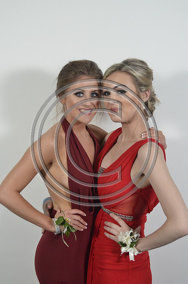 Firrhill_077